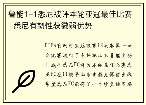 鲁能1-1悉尼被评本轮亚冠最佳比赛   悉尼有韧性获微弱优势